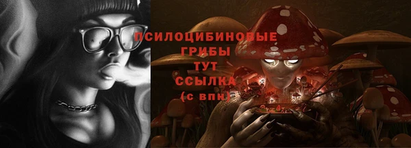 прущий лед Богородицк