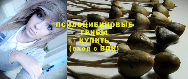 стаф Богородск