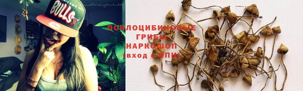 прущий лед Богородицк
