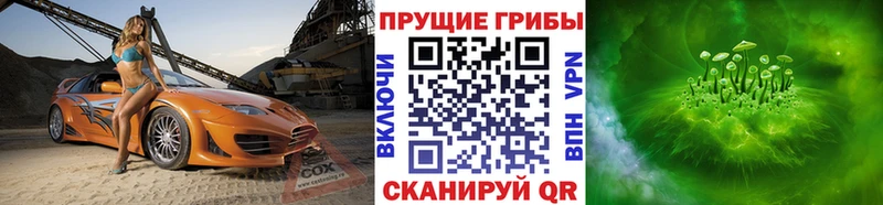 Псилоцибиновые грибы Psilocybine cubensis  Томск 